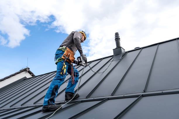 Best Roof Moss and Algae Removal  in Kenhorst, PA